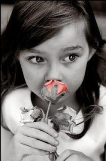 La belleza de las simples cosas