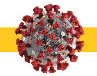 COVID-19 México COVID-19 México