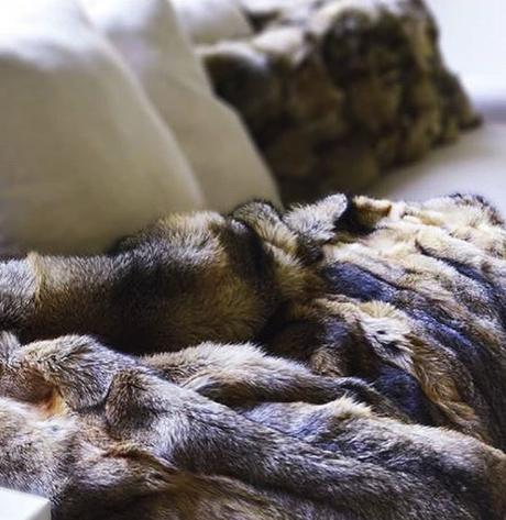 La diseñadora Ana María Campos aporta su mirada al interiorismo chileno desde Cassual Cor