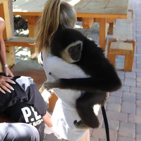 Fotos de The undertaker y su esposa Michelle McCool con felinos