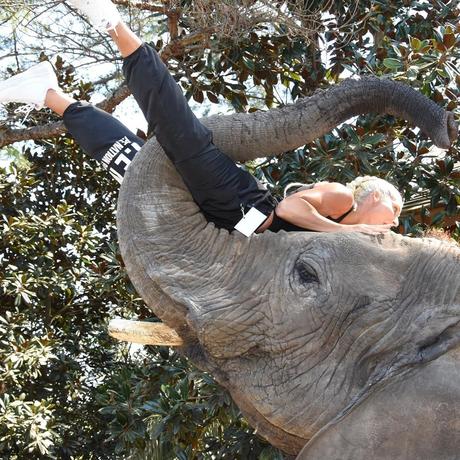 Fotos de The undertaker y su esposa Michelle McCool con felinos