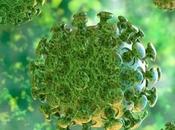 SmartSalus: Solidaridad Responsabilidad ciudadana. mejor receta para frenar aumento Coronavirus