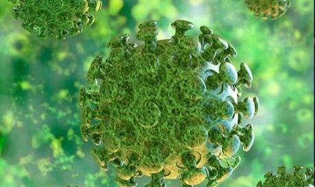 SmartSalus: Solidaridad y Responsabilidad ciudadana. La mejor receta para frenar el aumento del Coronavirus SmartSalus: Solidaridad y Responsabilidad ciudadana. La mejor receta para frenar el aumento del Coronavirus
