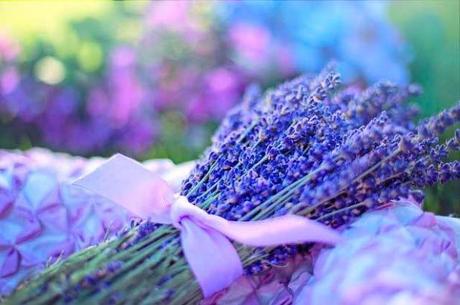 Endulzamiento para tu jefe