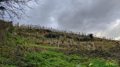 RUTA de las CAPILLAS o ERMITAS en CANGAS DEL NARCEA