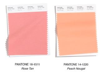 Los Colores de Moda otoño invierno 2020/2021 pantone fw 2020 21 rose tan peach
