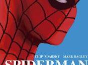 Spiderman, toda vida (2019), chip zdarsky mark bagley, biografía arácnida.