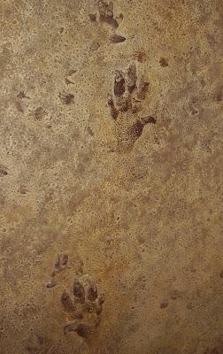 El hombre: un animal inadaptado e inadaptable-MIS LECTURAS DE ORTEGA Y GASSET El hombre: un animal inadaptado e inadaptable-MIS LECTURAS DE ORTEGA Y GASSET