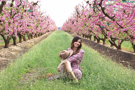 Aitona melocotoneros en flor bloguera de moda Fruiturisme