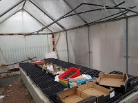 EXPERIENCIAS CON LOS SEMILLEROS