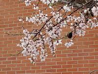 EXPERIENCIAS CON LOS SEMILLEROS