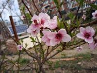 EXPERIENCIAS CON LOS SEMILLEROS