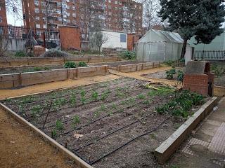 EXPERIENCIAS CON LOS SEMILLEROS