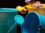 Enséñales pequeños jardineros domésticos