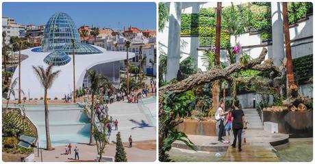 Qué ver en Estepona