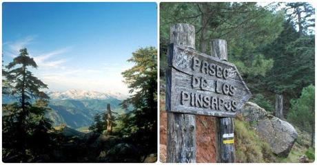 Qué ver en Estepona