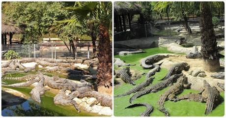 Qué ver en Torremolinos