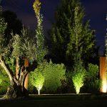 Mantenimiento de Jardines en Villa Allende Córdoba Zona Norte