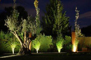 Mantenimiento de Jardines en Villa Allende Córdoba Zona Norte