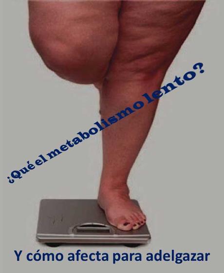 ¿Qué es el metabolismo lento? Y cómo afecta para adelgazar