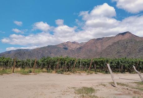 Visitamos Finca Quara, una bodega en Cafayate bodega de salta