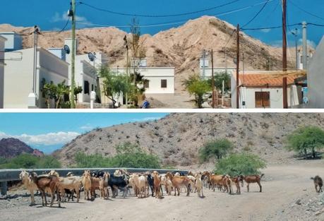 De Cachi a Cafayate por la Ruta 40