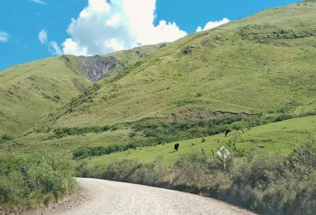 Increíble ruta en auto de Salta a Cachi