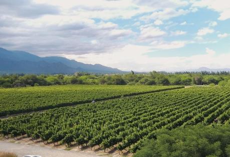 El Grace Resort, un alojamiento de lujo en Cafayate hotel grace en cafayate