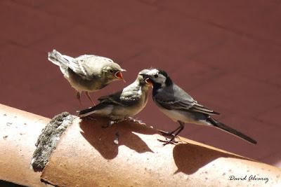 Historias del confinamiento I