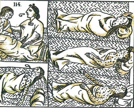 No hay ninguna descripción de la foto disponible.