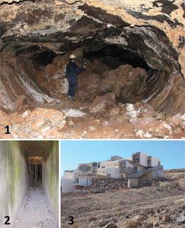 Nuevas especies de dipluros subterráneos de la Islas Canarias