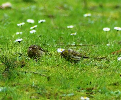 Unos se van, otros llegan