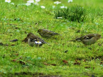 Unos se van, otros llegan