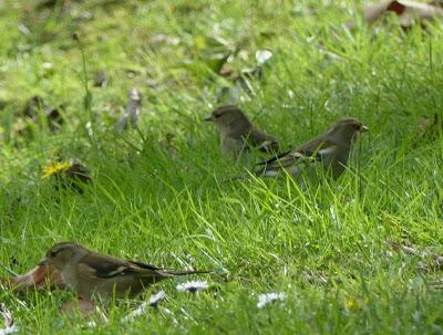 Unos se van, otros llegan
