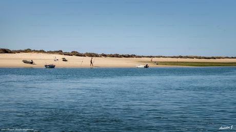 ILHA DA FUSETA. OLHAO (PORTUGAL)