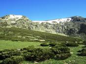 Laguna pájaros