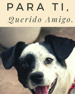 (Recopilación) #YoEscribo - Febrero - Reto De Escritura BFD