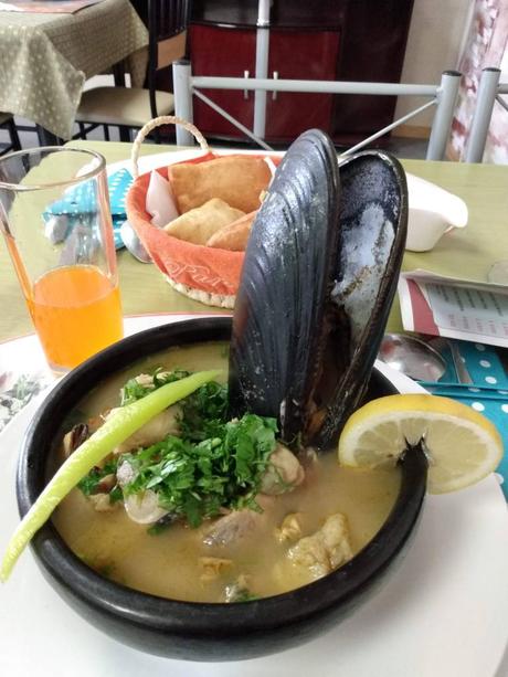 La carretera austral en autobús