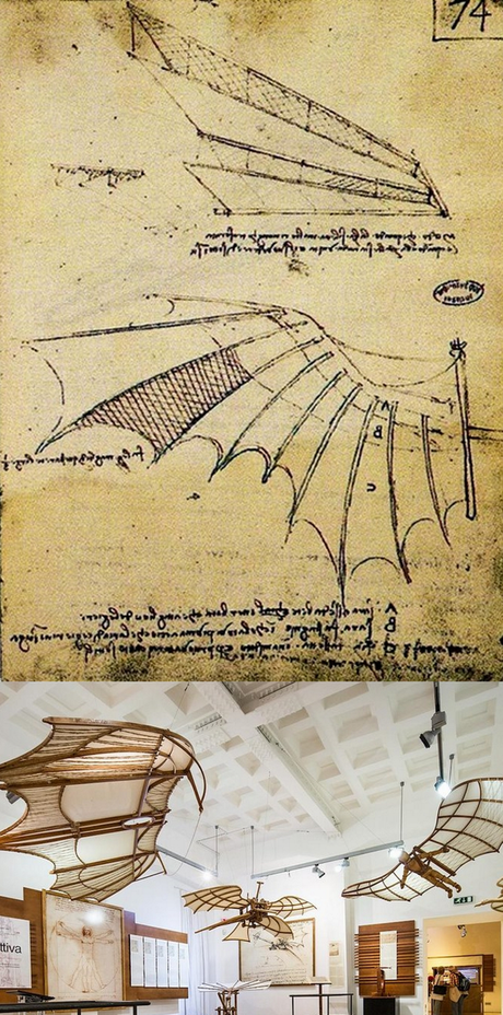 La Muestra Leonardo Da Vinci en Roma ofrece a cada visitante una experiencia única. La Muestra Leonardo Da Vinci en Roma ofrece a cada visitante una experiencia única.