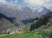 debacle árabe Cosgaya