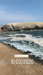 La libertad que se ocultaba a través del virus Covid-19 La libertad que se ocultaba a través del virus Covid-19