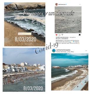 La libertad que se ocultaba a través del virus Covid-19 La libertad que se ocultaba a través del virus Covid-19