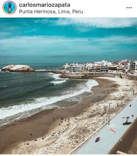 La libertad que se ocultaba a través del virus Covid-19 La libertad que se ocultaba a través del virus Covid-19