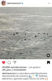 La libertad que se ocultaba a través del virus Covid-19 La libertad que se ocultaba a través del virus Covid-19