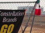 Contingencia sanitaria compromete consulta sobre megaproyecto constellation brands: