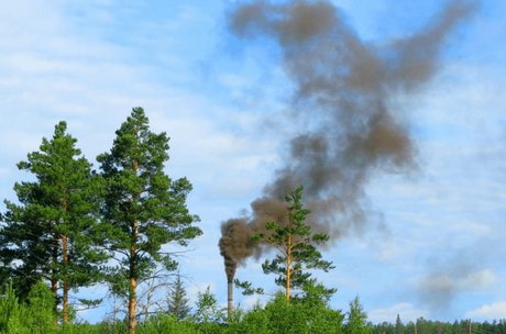 ¿Cómo se consigue una licencia ambiental? ¿Cómo se consigue una licencia ambiental?