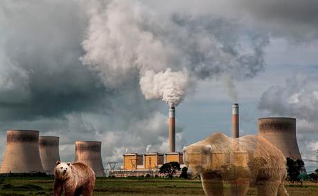 ¿Cómo se consigue una licencia ambiental? ¿Cómo se consigue una licencia ambiental?
