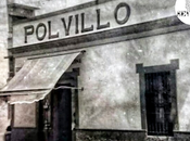 Polvillo