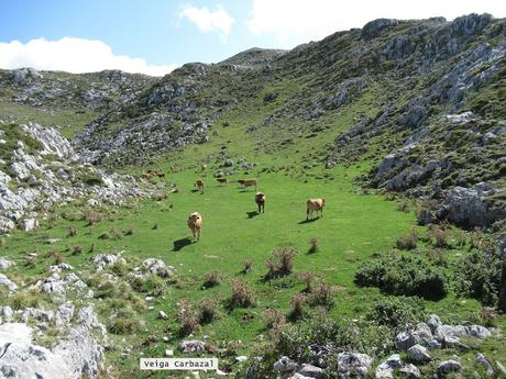 Páramo-La Villa de Su-La Pena la Villa