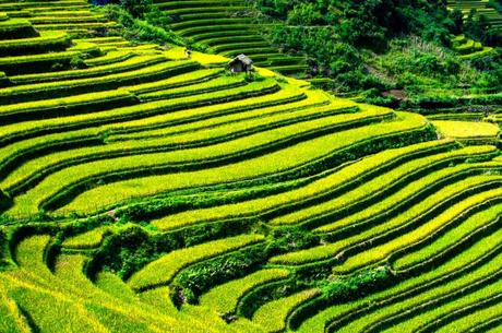 Todo lo que tienes que saber sobre el visado para Vietnam visado electronico vietnam